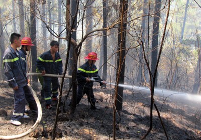 Fire fighters from Da Nang City distinguishing the fire Fire fighters from Da Nang City distinguishing the fire